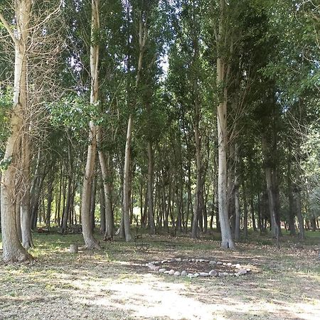Cabana Ecologica Успайата Екстериор снимка
